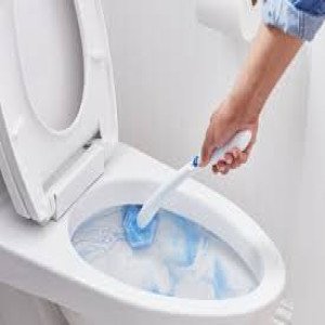 Toilet cleaning